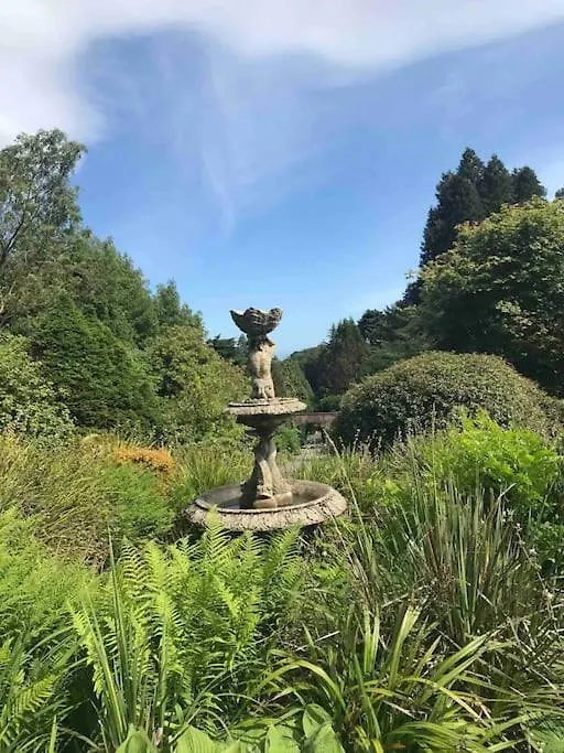 Forest View - Castlewellan Belfast