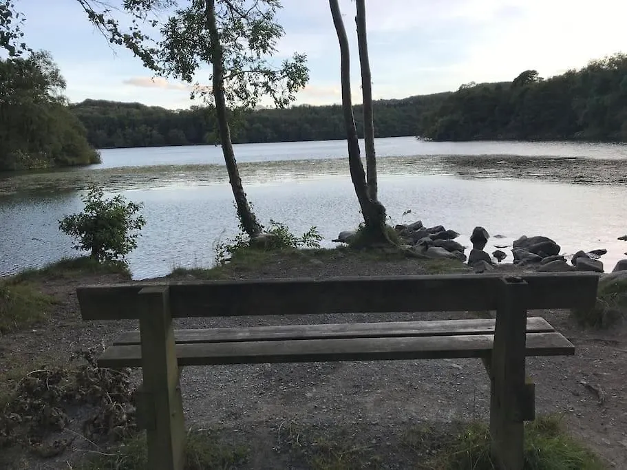 Forest View - Castlewellan Belfast Regno Unito