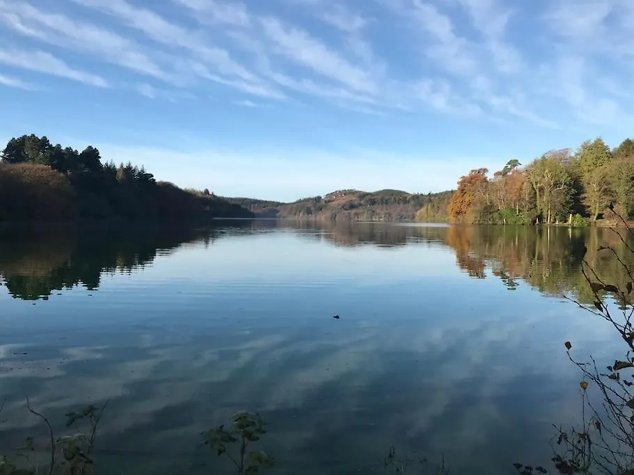 Forest View - Castlewellan Belfast Privatunterkunft