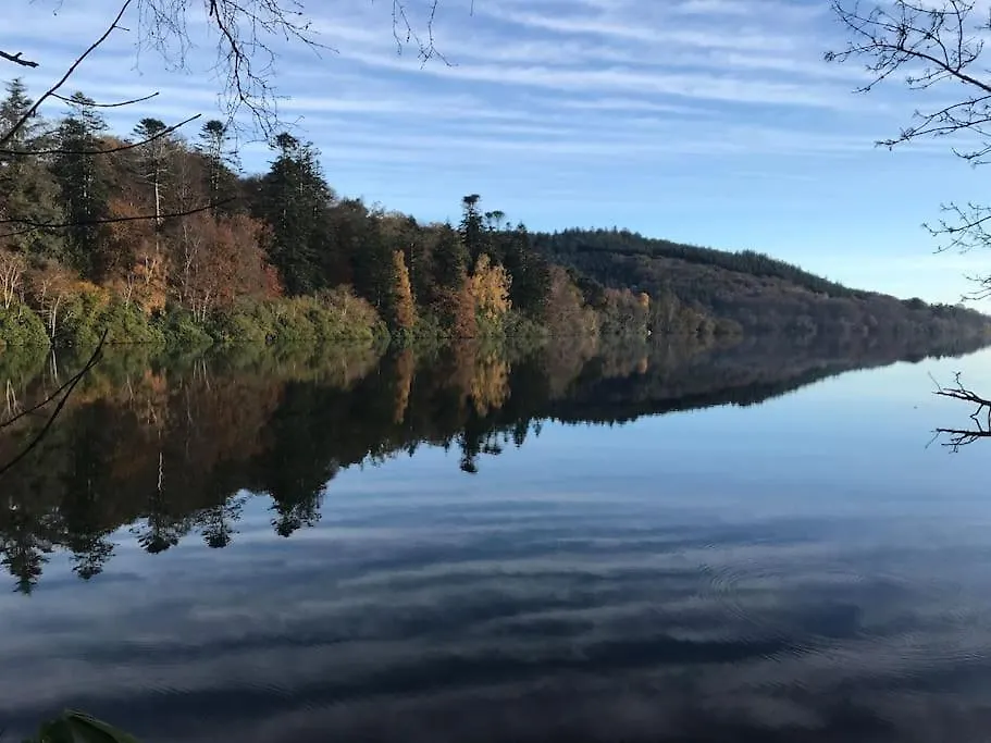 Forest View - Castlewellan Belfast 0*,