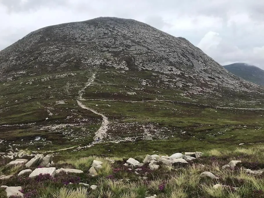 Δωμάτια σε οικογενειακή κατοικία Forest View - Castlewellan, County Down Μπέλφαστ Ηνωμένο Βασίλειο
