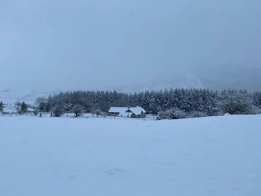 Forest View - Castlewellan, County Down Μπέλφαστ