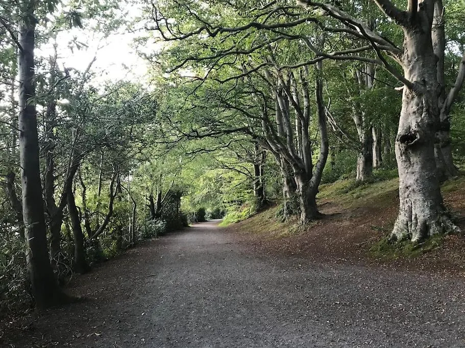 Δωμάτια σε οικογενειακή κατοικία Forest View - Castlewellan, County Down Μπέλφαστ